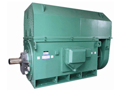 信州Y系列6KV高压电机